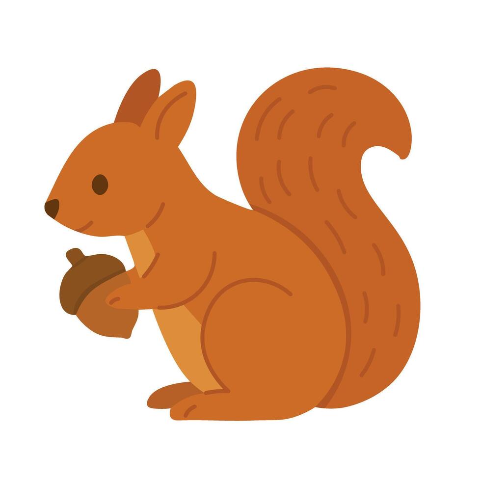 Cute brown squirrel holding an acorn. Flat cartoon style with warm autumn palette. vector