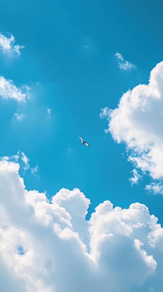 Skyward Kite on a Clear Day photo