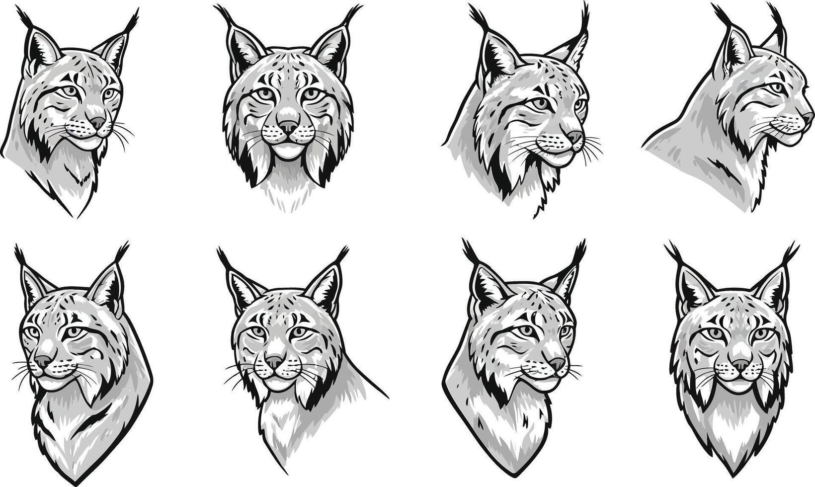 Lynx head sketches set with detailed facial expressions in black and white illustration vector