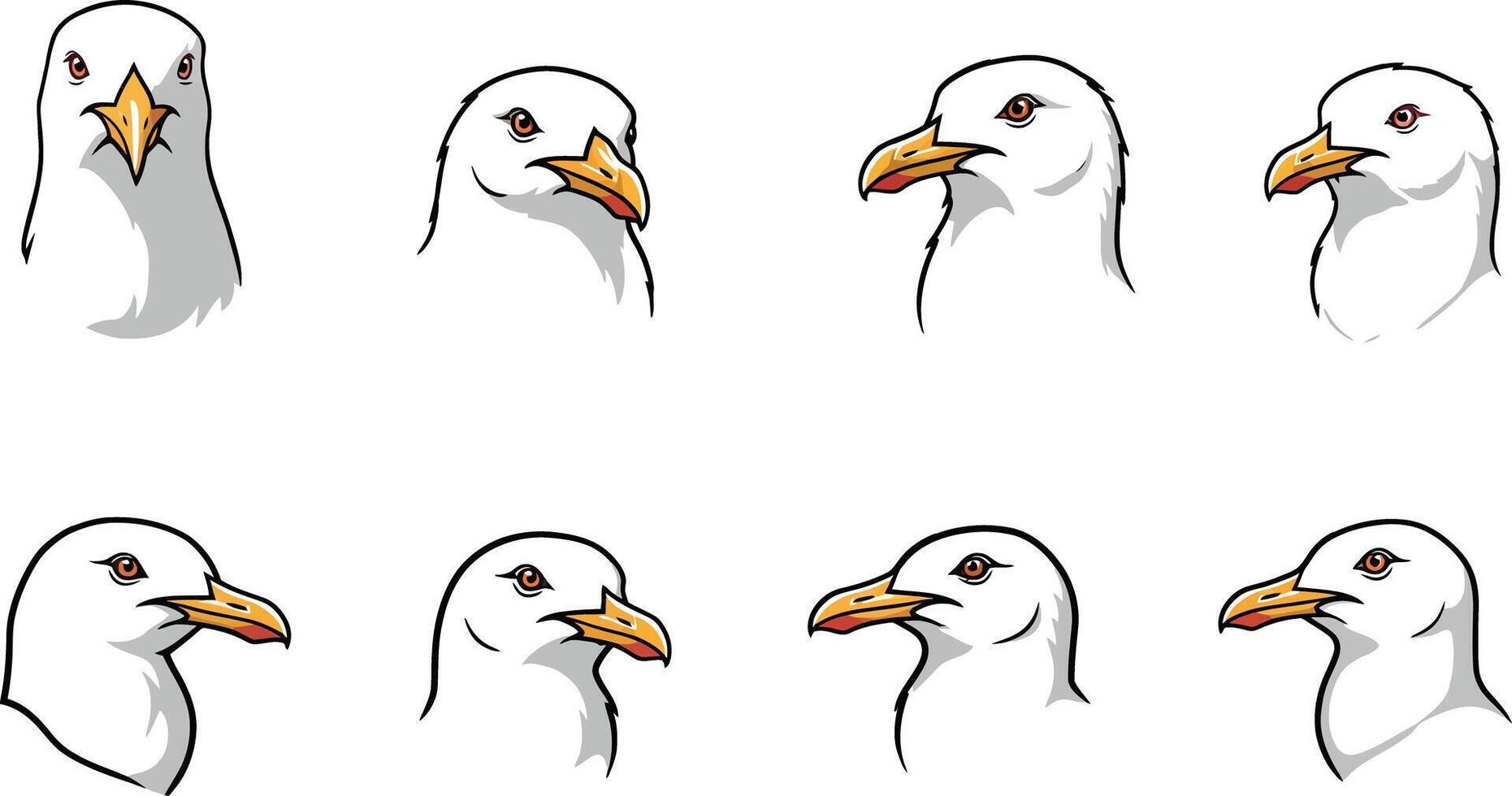 Seagull head illustration set with white feathers and orange beak in different angles and expressions for graphic design use vector