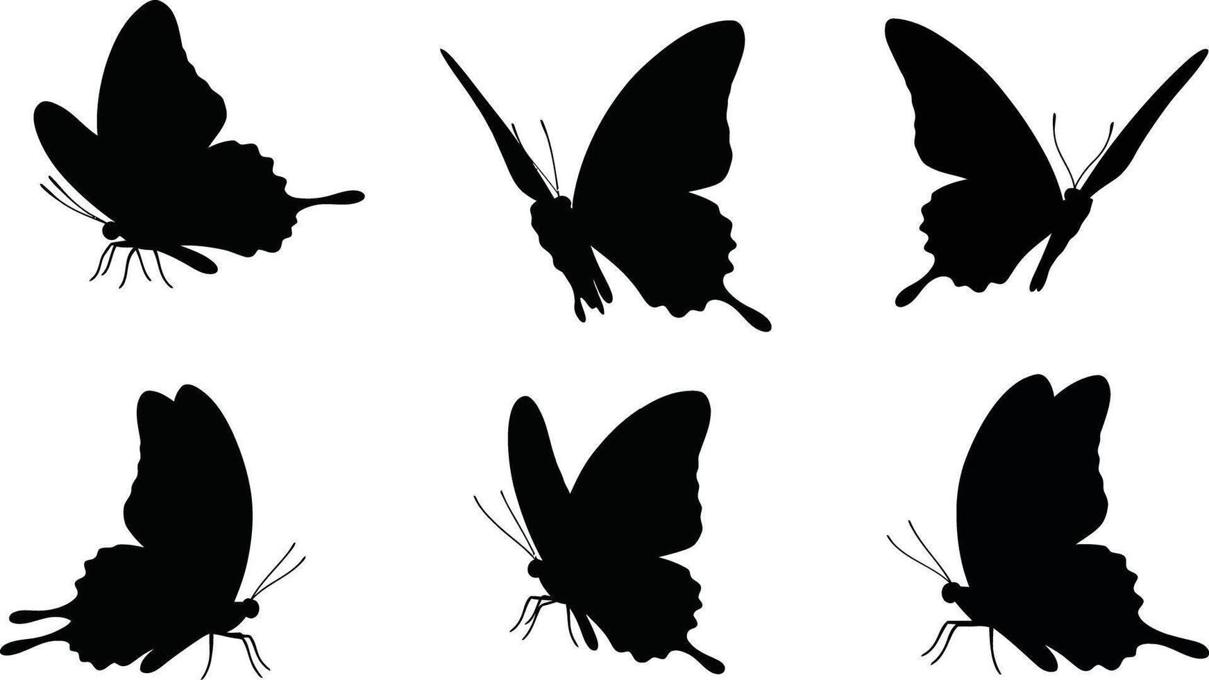 Butterfly silhouette collection set with detailed wing shapes and side views for design use vector