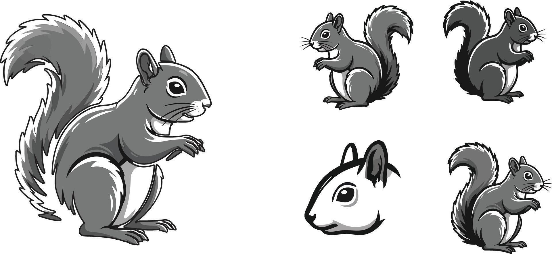 Gray Squirrel Illustration in Various Poses and Head Close-up for Wildlife Design and Nature Themes vector