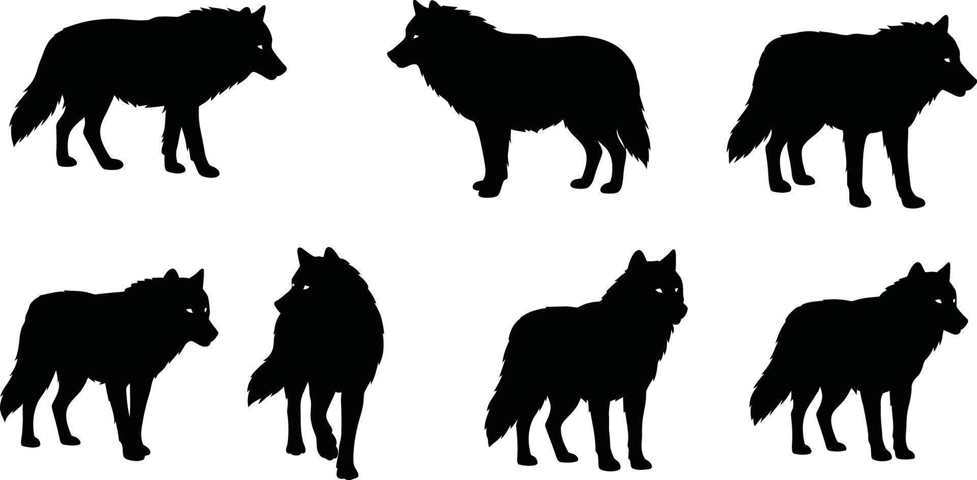 Wolf silhouette set in black showing different poses and angles for wildlife and nature design elements illustration vector
