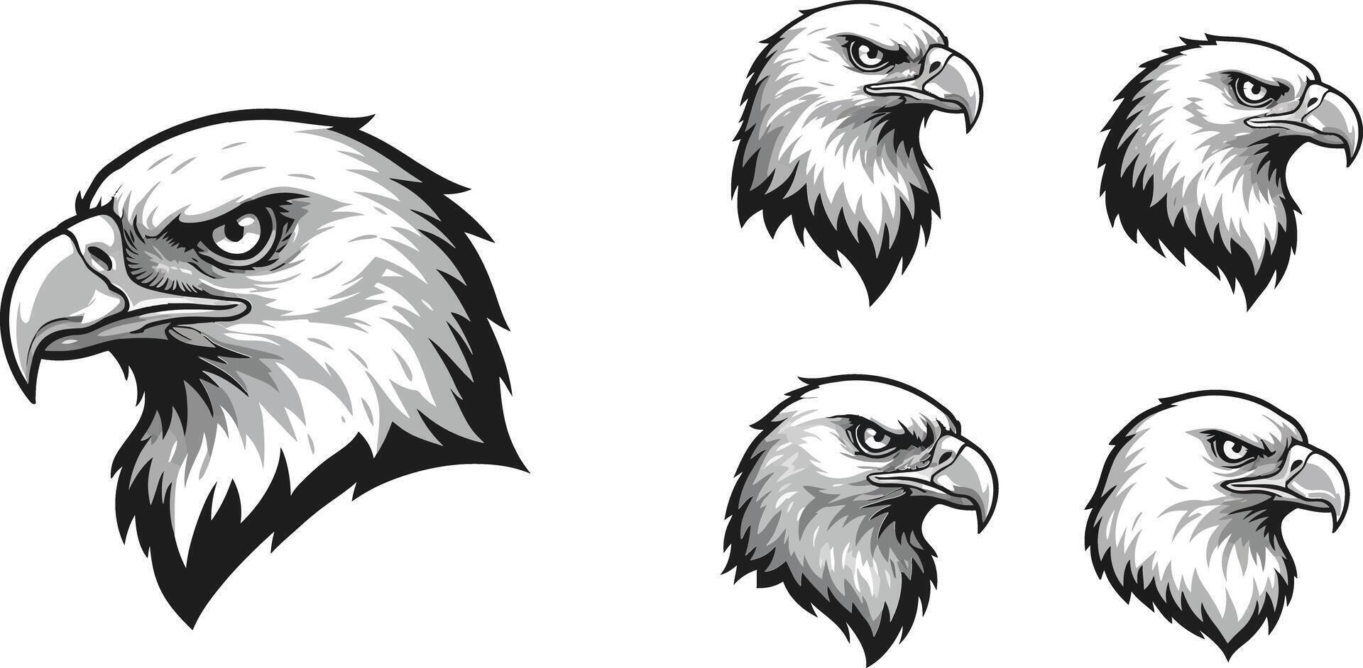 Eagle head illustration set with detailed black and white ink style for wildlife and bird design elements vector