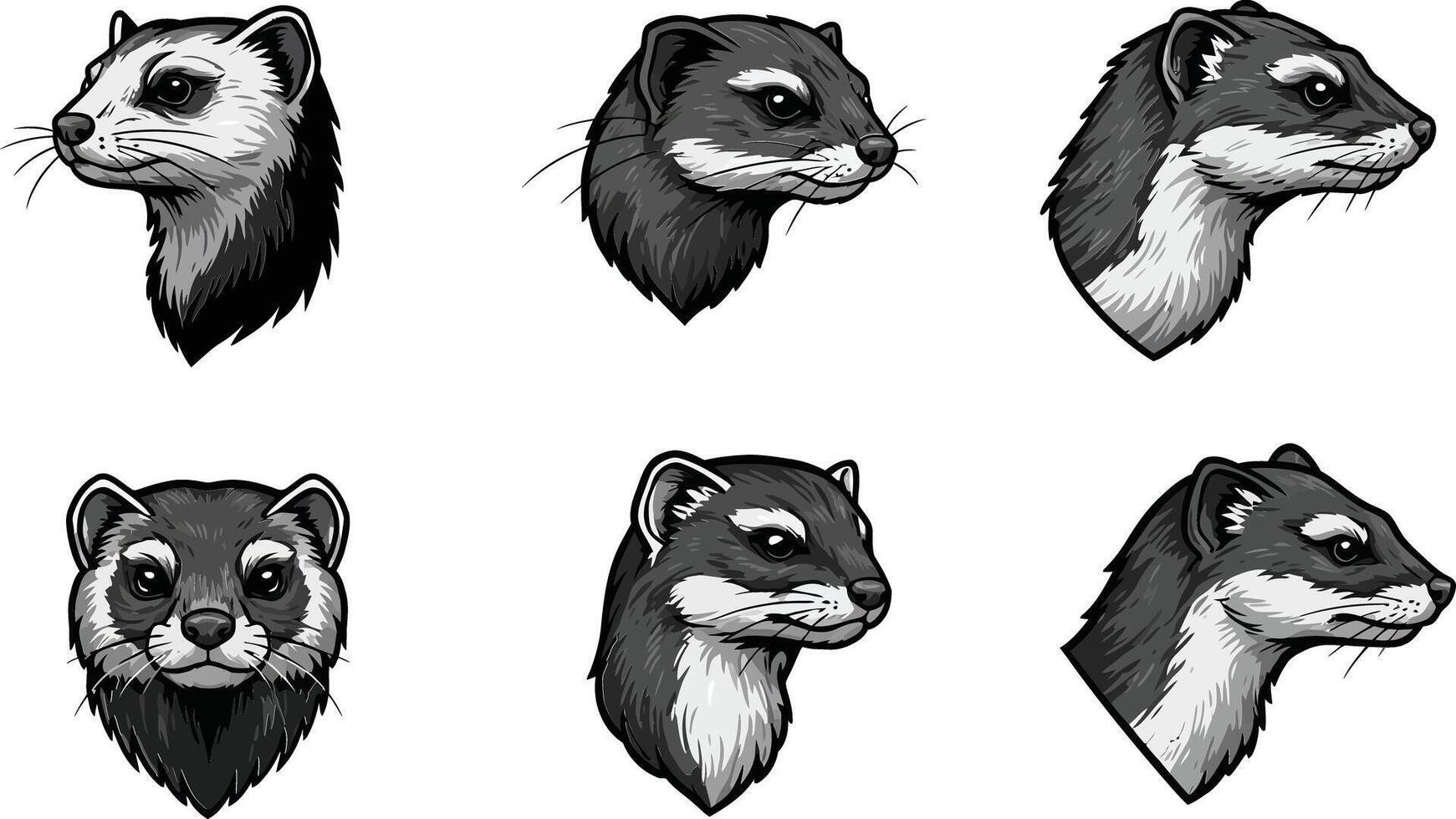 Ferret silhouette set in various poses black and white illustration for wildlife design and animal themes vector