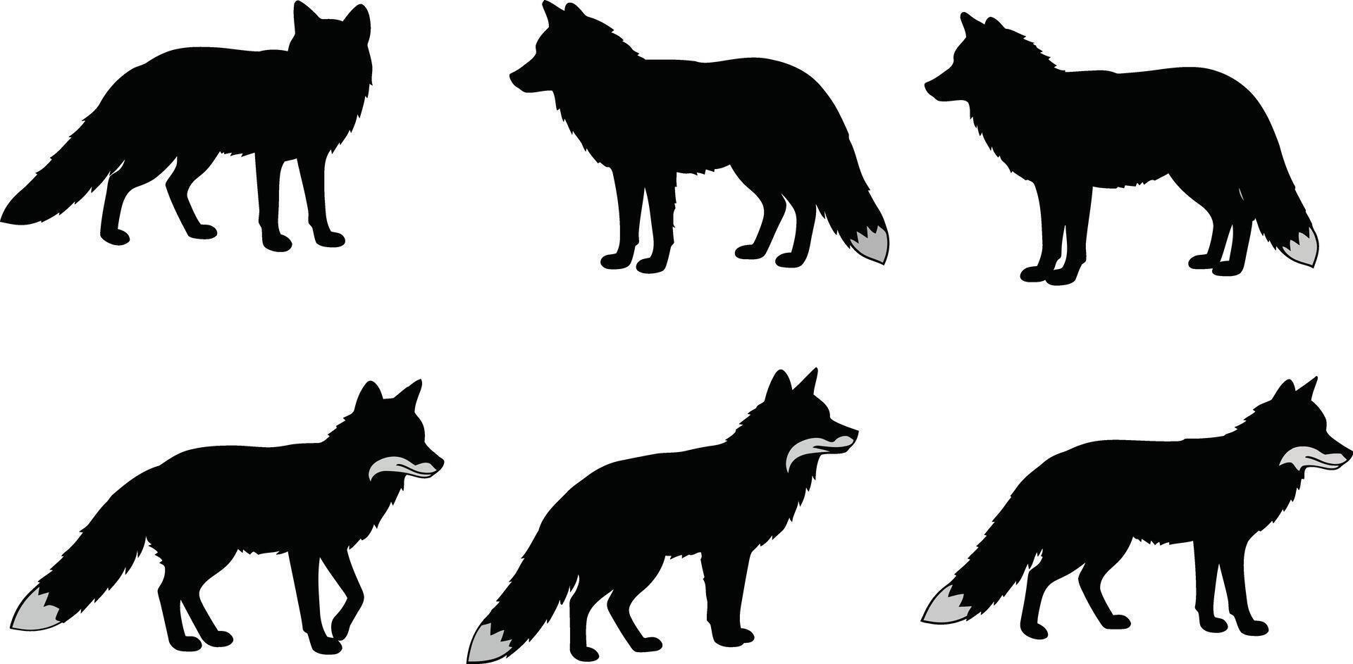 Fox silhouette set with six different standing and walking poses in black illustration vector