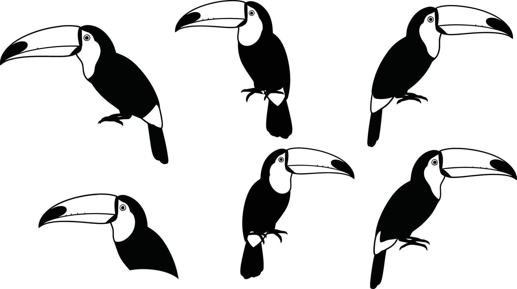 Toucan birds black and white illustration with side profile poses natural style set vector