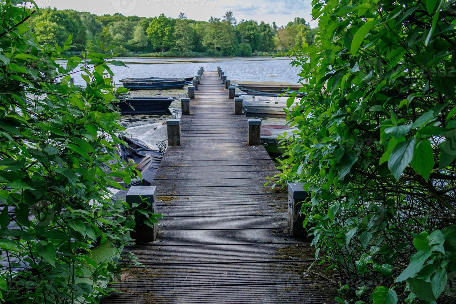 pier at a lake in westphalia photo