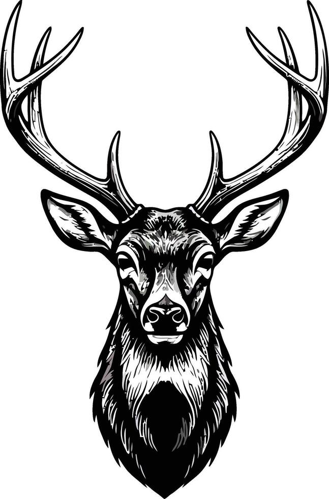 Deer head with large antlers detailed black and white illustration for wildlife and nature design 2 vector
