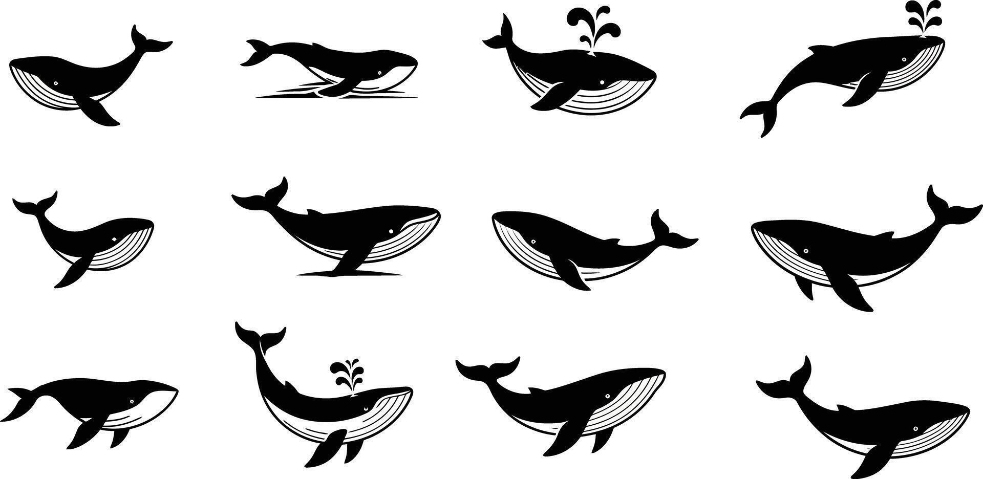 Whale silhouettes in various swimming poses black and white illustration for marine life design vector