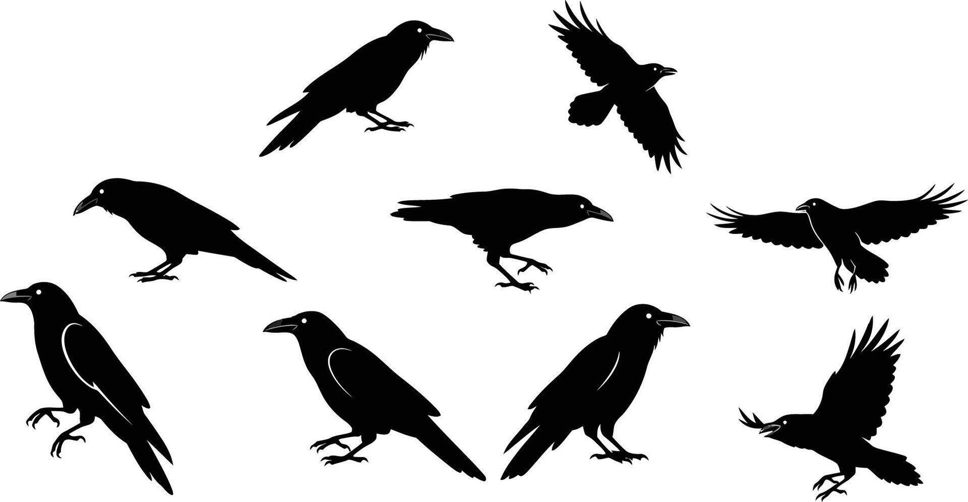 Black Raven Birds Flying and Perching Silhouettes Illustration in Various Poses vector