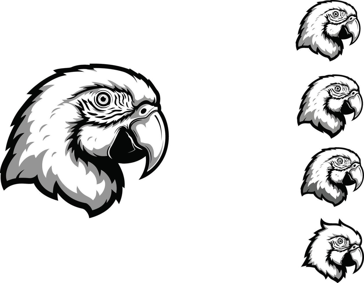 set of detailed black and white parrot head illustrations in various poses and expressions for design and creativity use vector