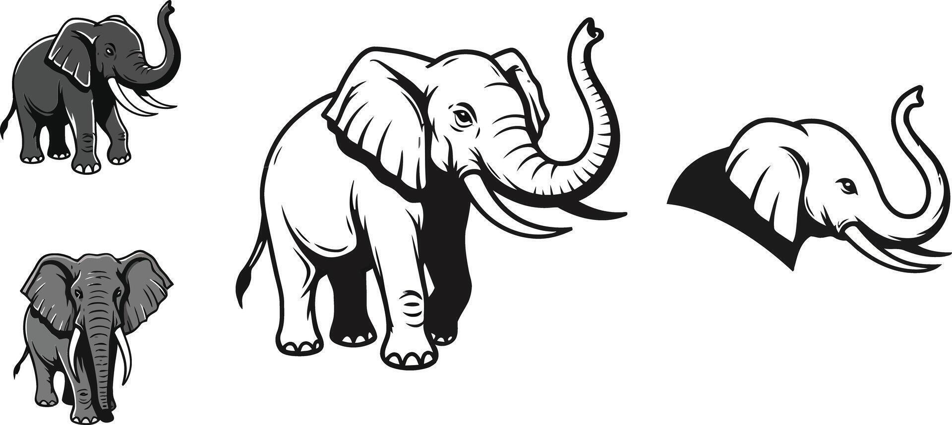 Elephant animal wildlife illustration showing different black and white poses and styles vector