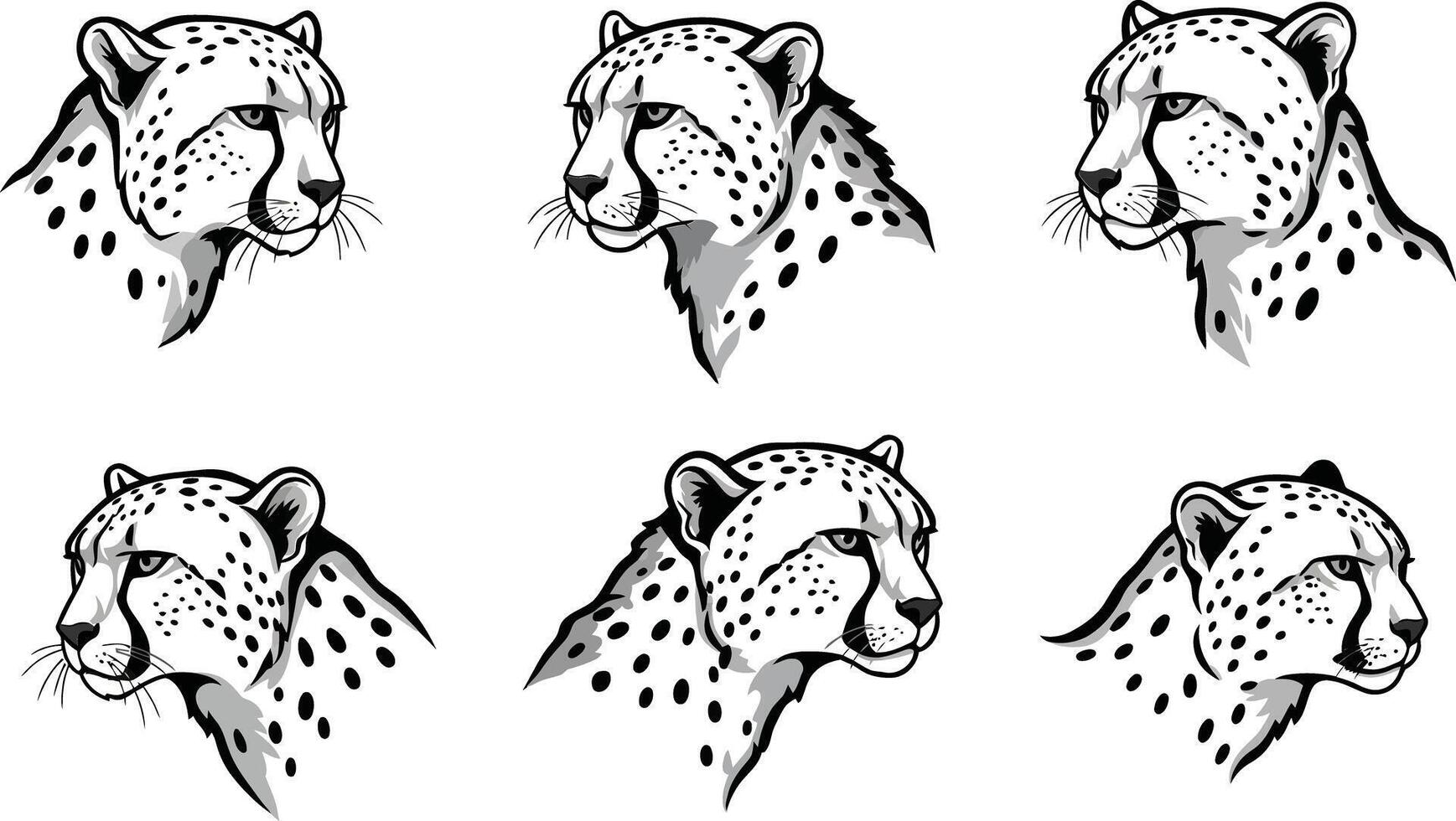 Cheetah Head Illustrations with Various Angles and Expressions in Black and White Style vector