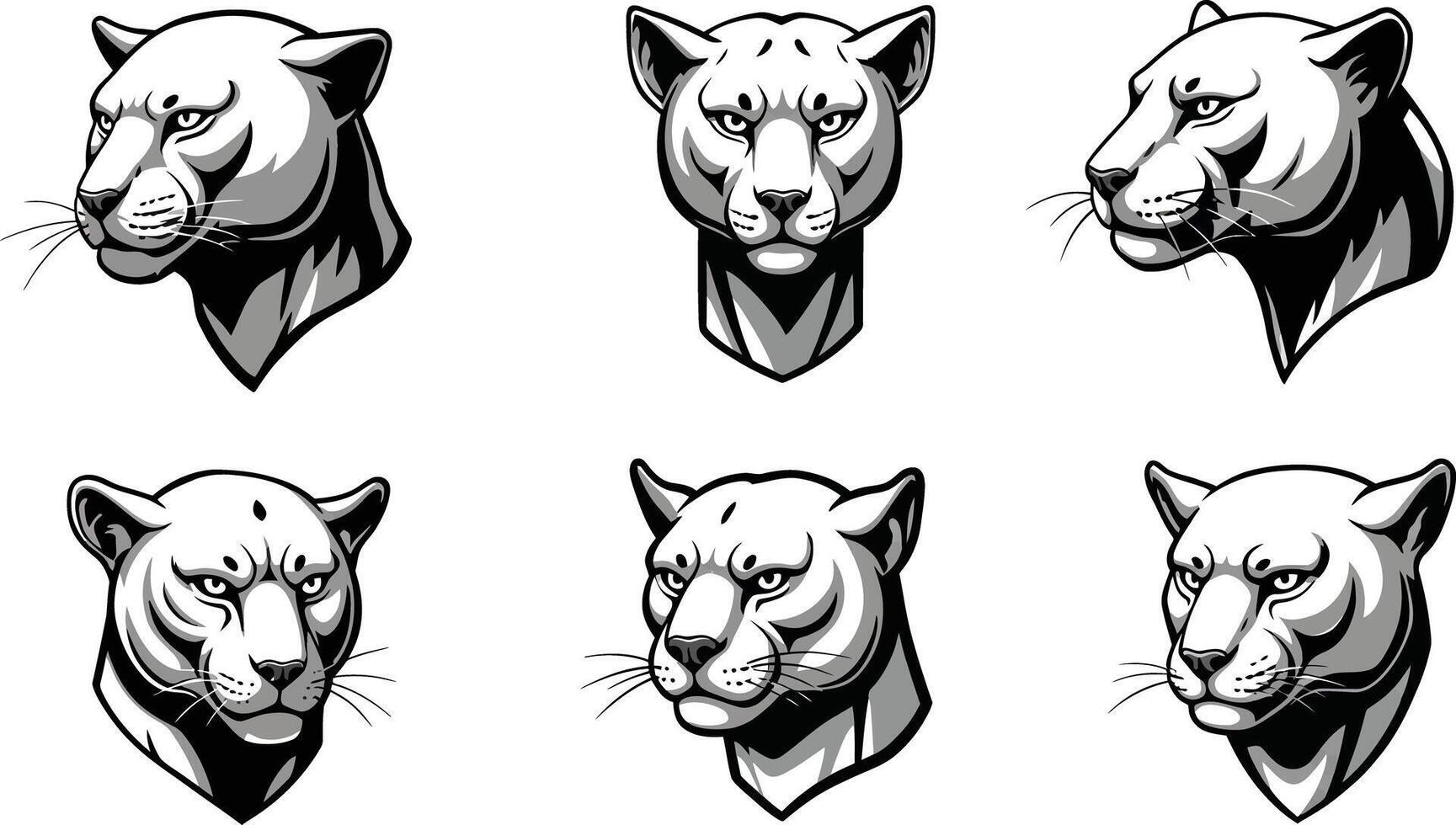 Panther head illustrations showing various facial angles and expressions in black and white detailed style vector