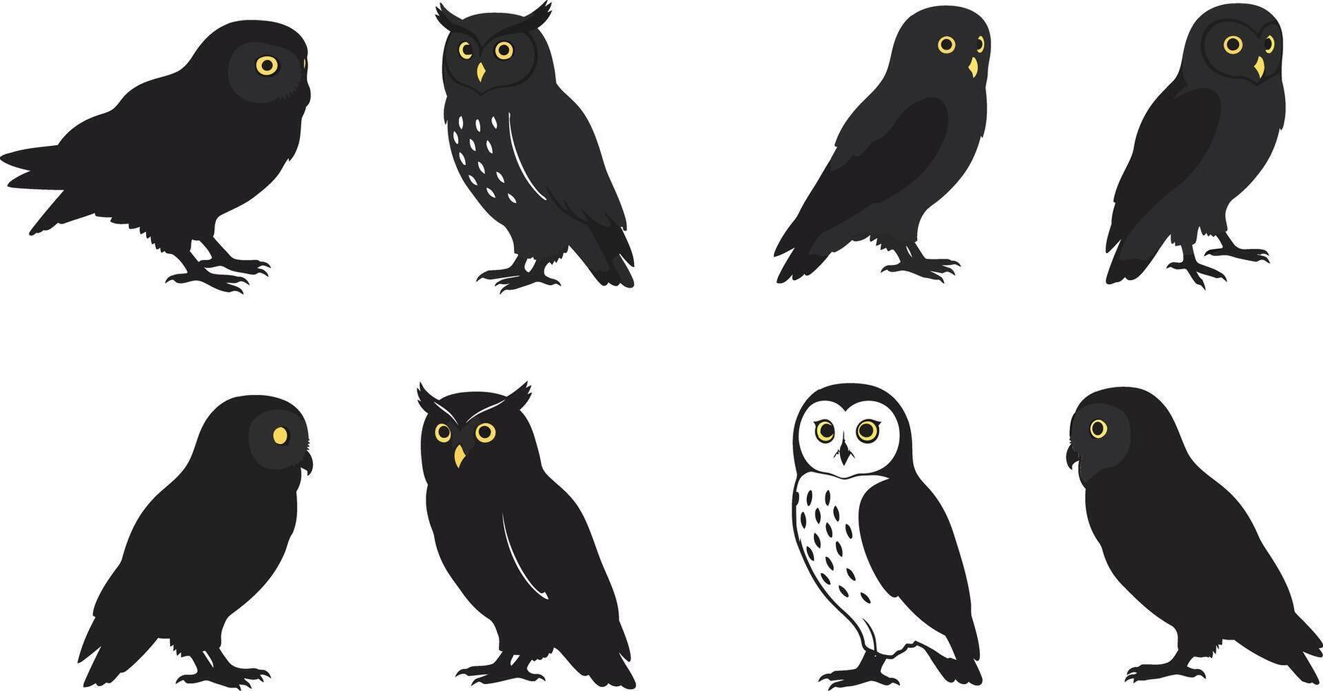 Eight different styled owl birds with black and white feathers in illustration set vector