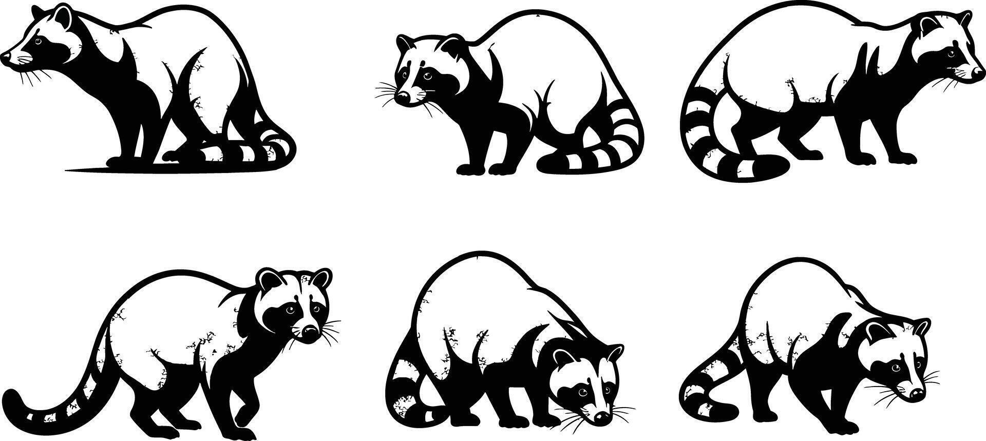 Raccoon animal set showing different poses and silhouettes in black and white style for wildlife design and illustration vector