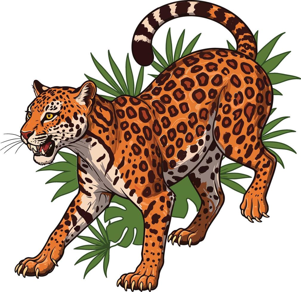 Jaguar stalking wild animal with spotted fur and sharp claws in jungle environment vector
