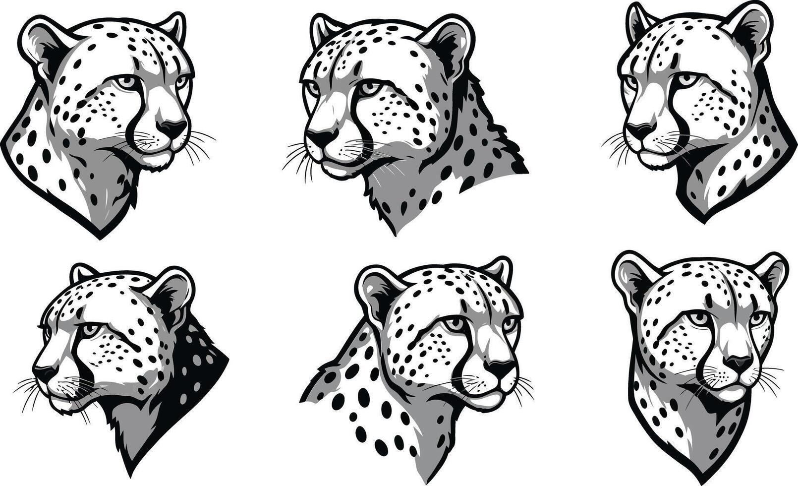 Cheetah head illustrations showing various angles and expressions in black and white detailed set vector
