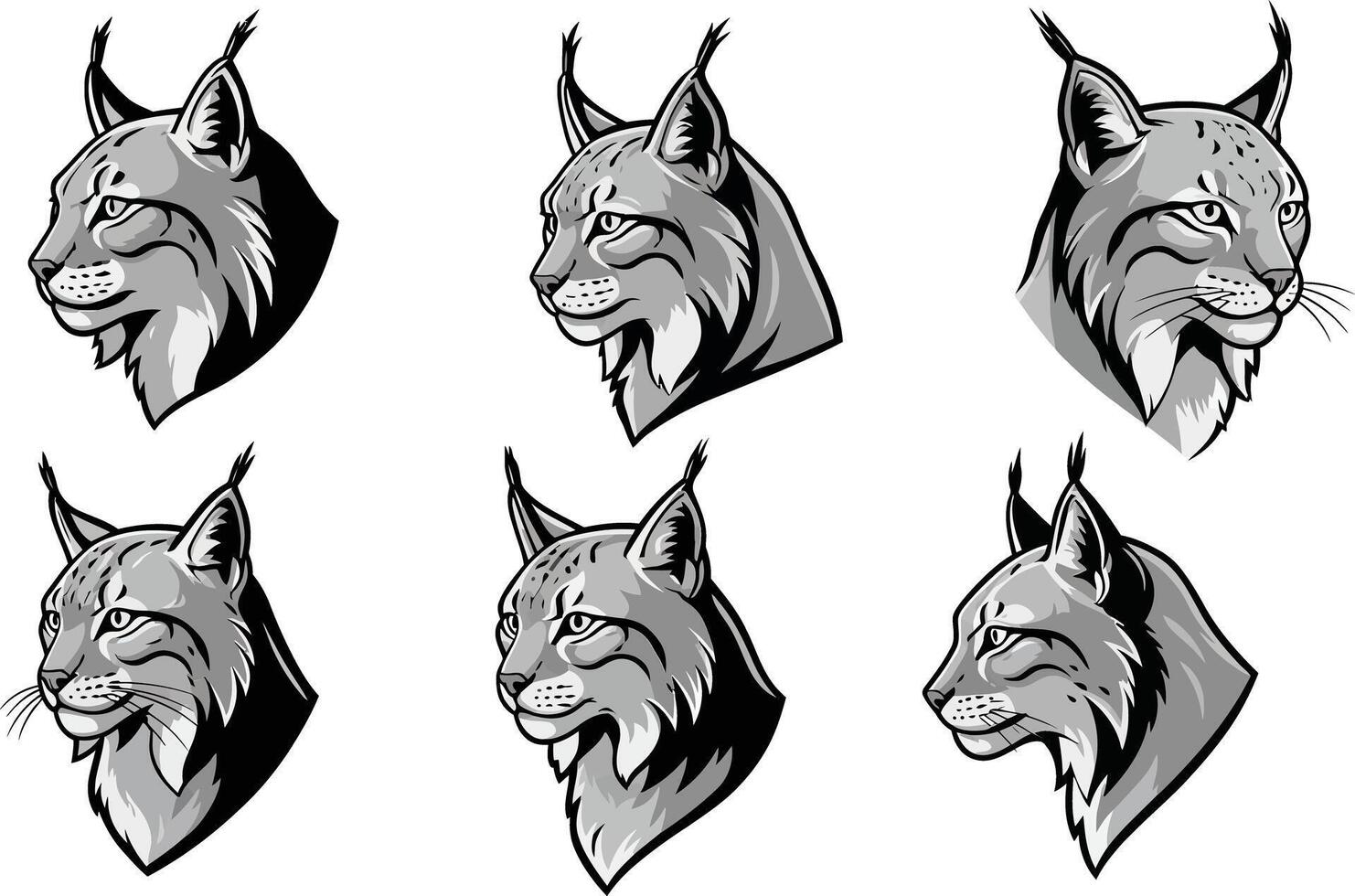 Lynx head illustrations with detailed fur and facial expressions in grayscale set for wildlife design and animal artwork collection vector