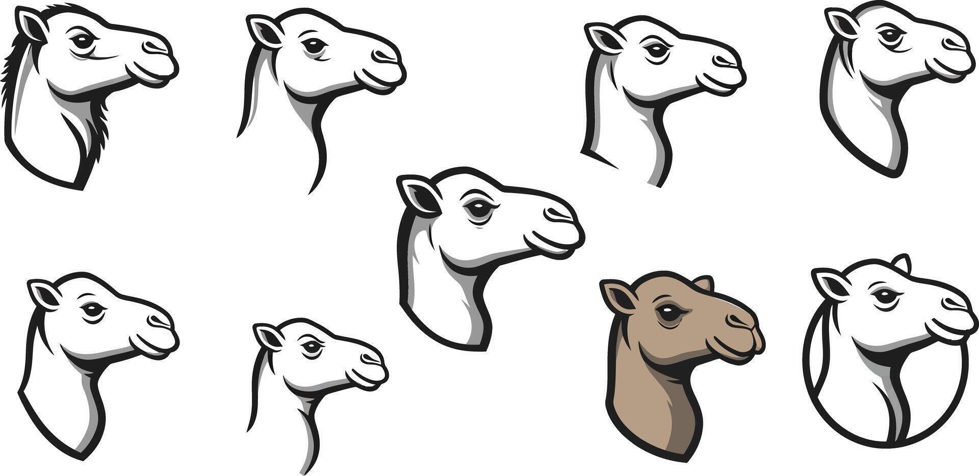 Camel silhouettes in various poses isolated on white background illustration vector