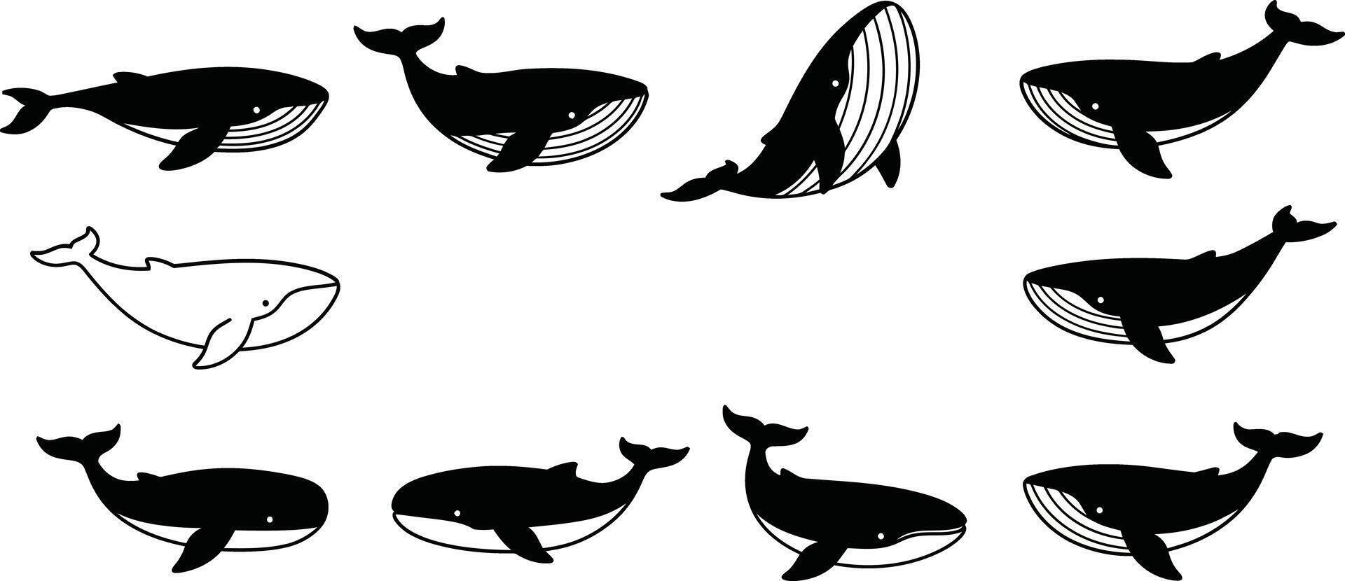 Whale silhouette set with various positions and swimming poses in black and white illustration vector