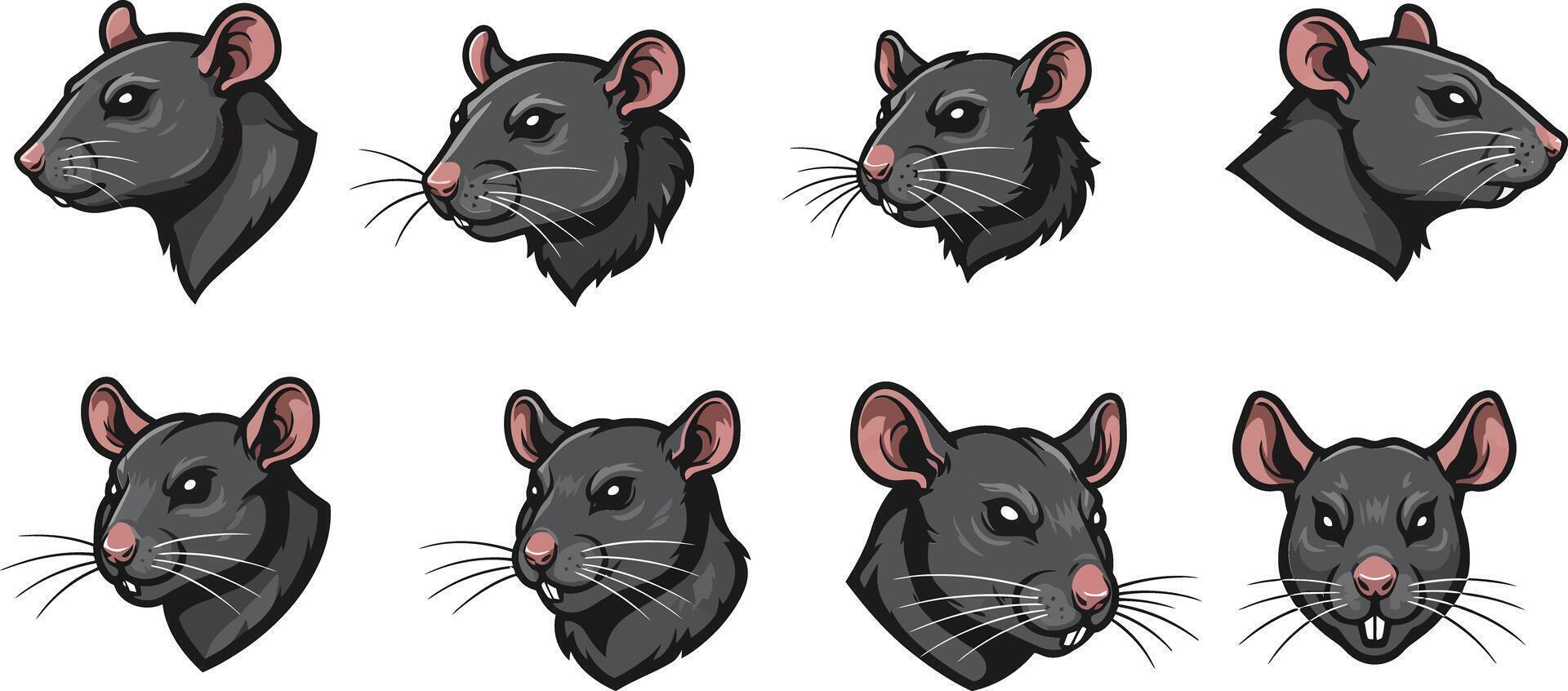 Black and white rats in various poses illustration for scientific and educational use vector