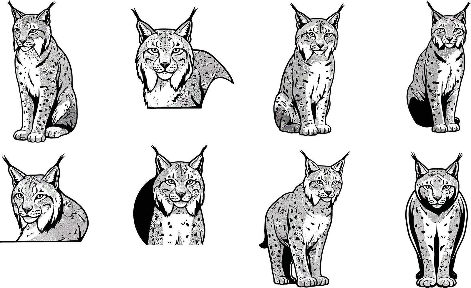 Lynx wild cat illustrations set showing various poses and expressions in black and white detailed art vector