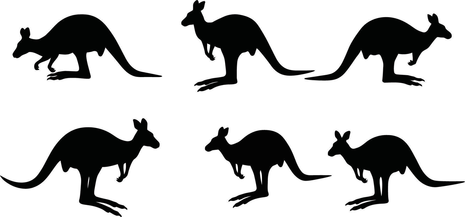 Kangaroo silhouette set with six different jumping and standing poses in black illustration vector