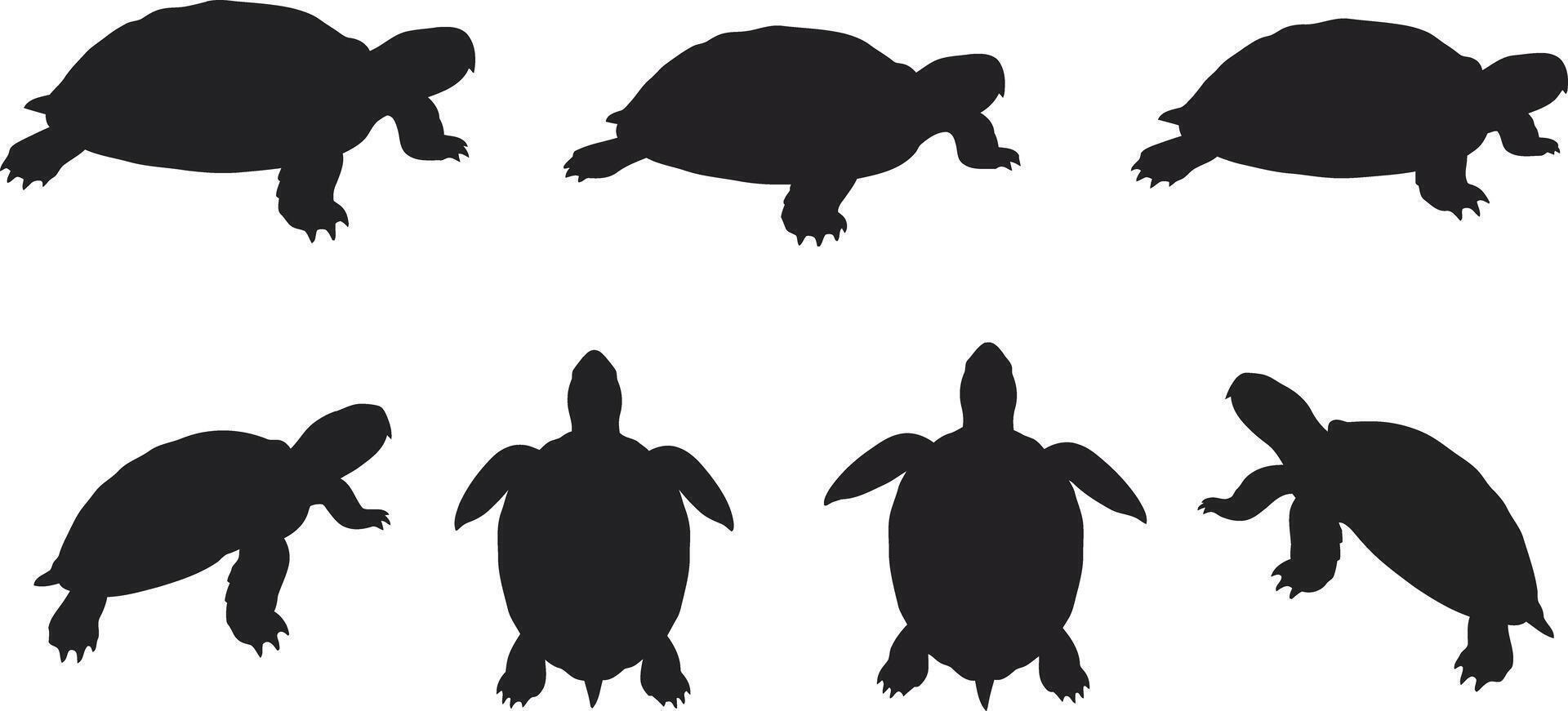 Silhouettes of Turtle Shapes in Various Poses Illustration for Nature and Wildlife Design vector
