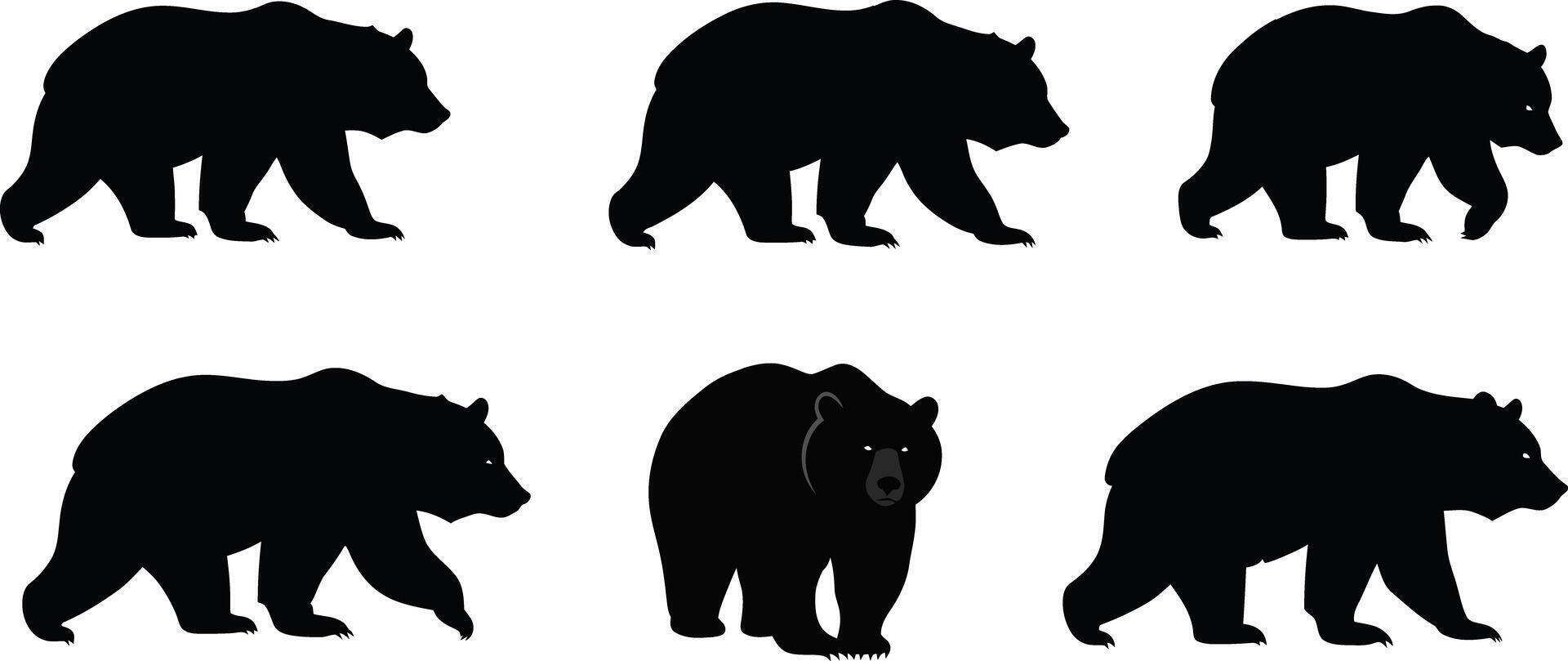 Bear silhouettes in various poses set with solid black shapes for natural wildlife design elements illustration vector