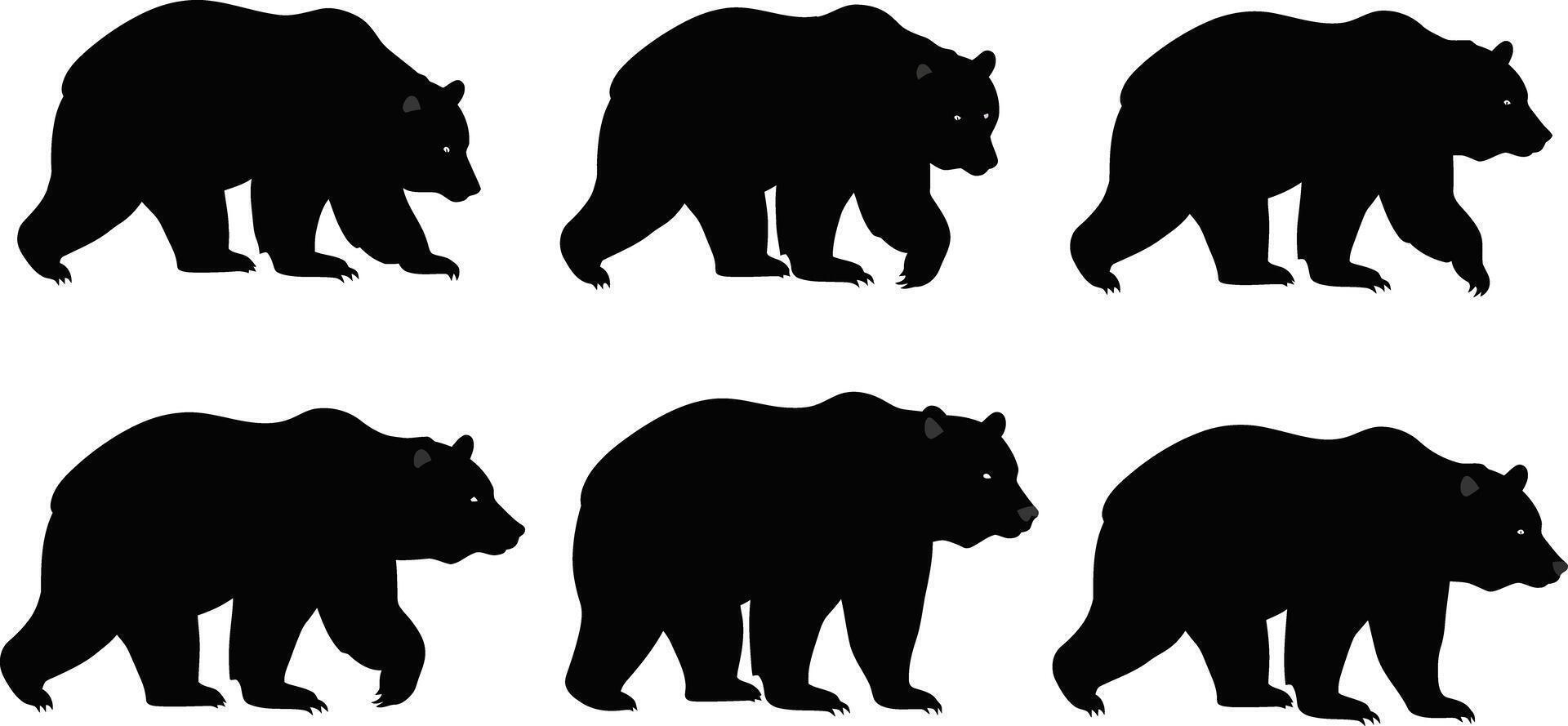 Bear silhouette collection showing different walking poses in black natural animal shapes vector