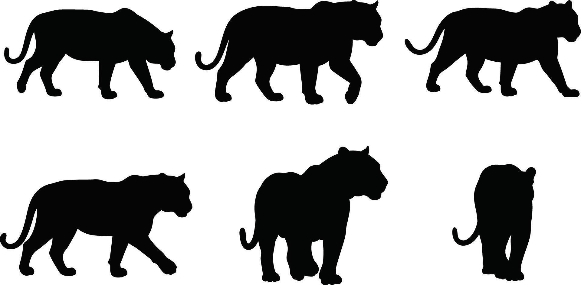 Black Panther Silhouettes in Various Walking and Standing Poses Illustration vector