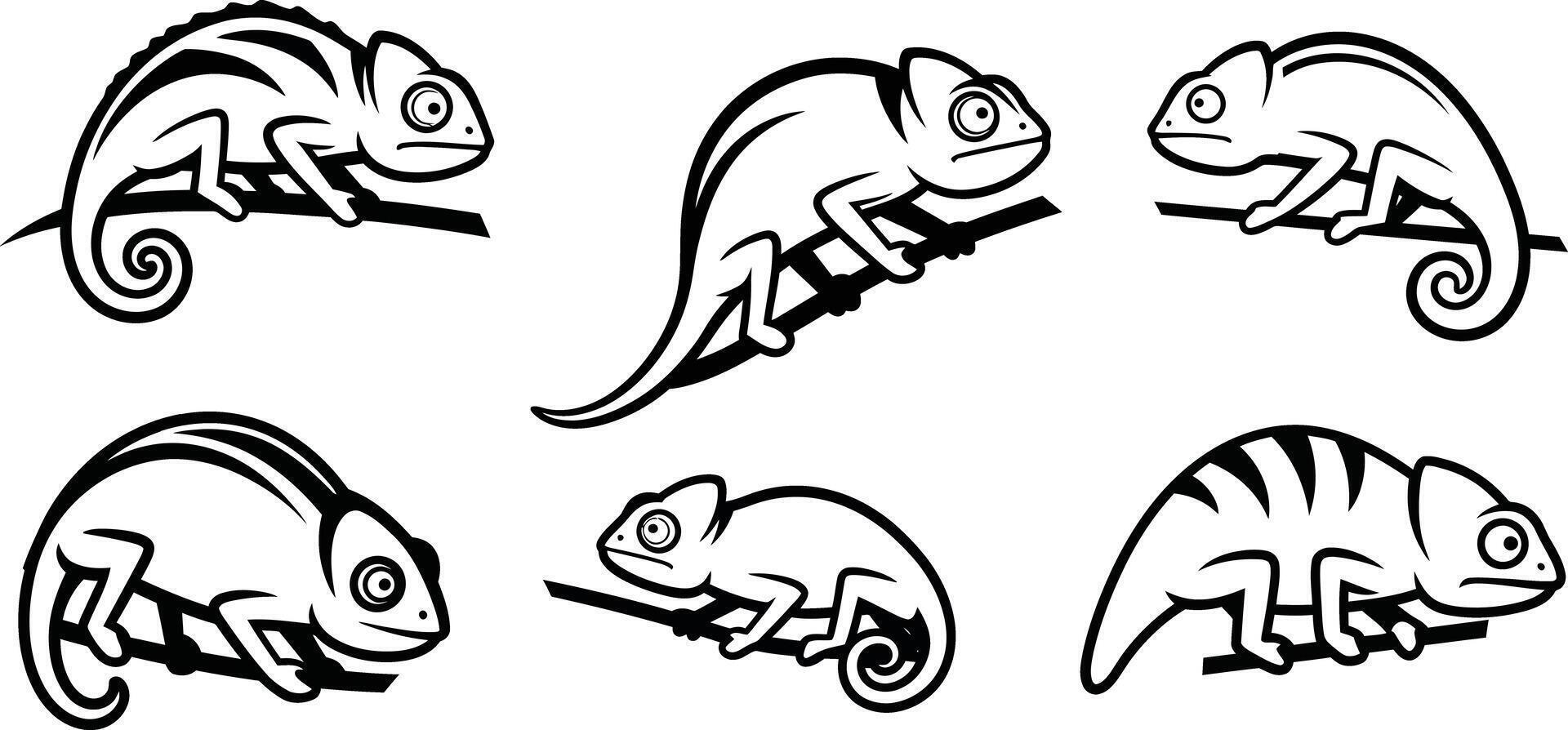Chameleon silhouette collection with varied poses and curled tails in black and white illustration vector
