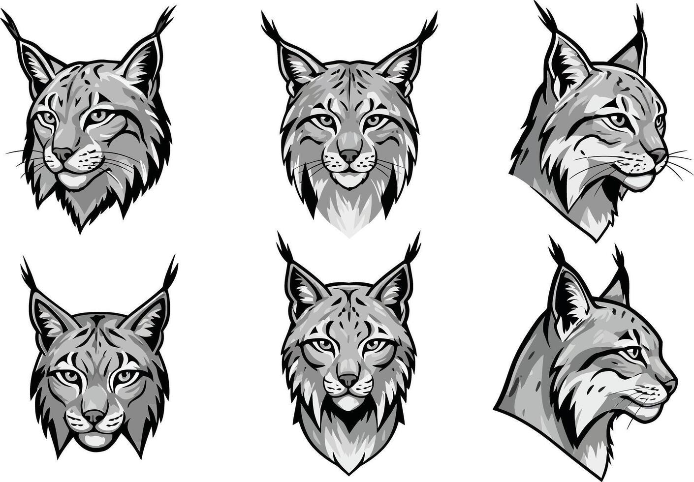 Lynx head illustrations set with detailed facial features natural style collection vector