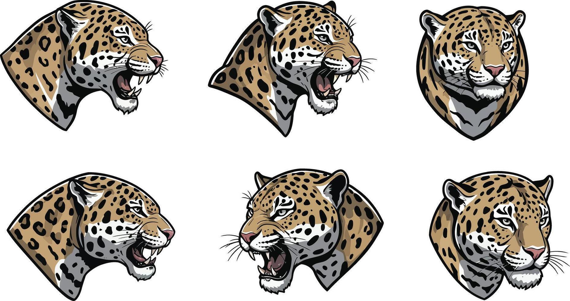 Jaguar head illustrations showing various facial expressions in natural colours and detailed style art vector