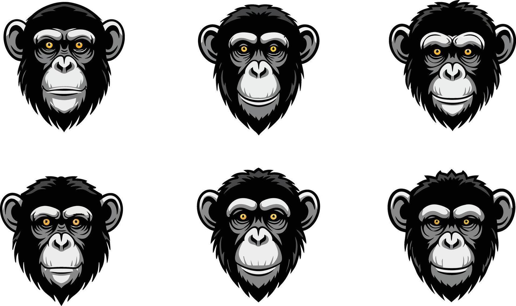 Chimpanzee head detailed illustrations showing different facial expressions natural style vector