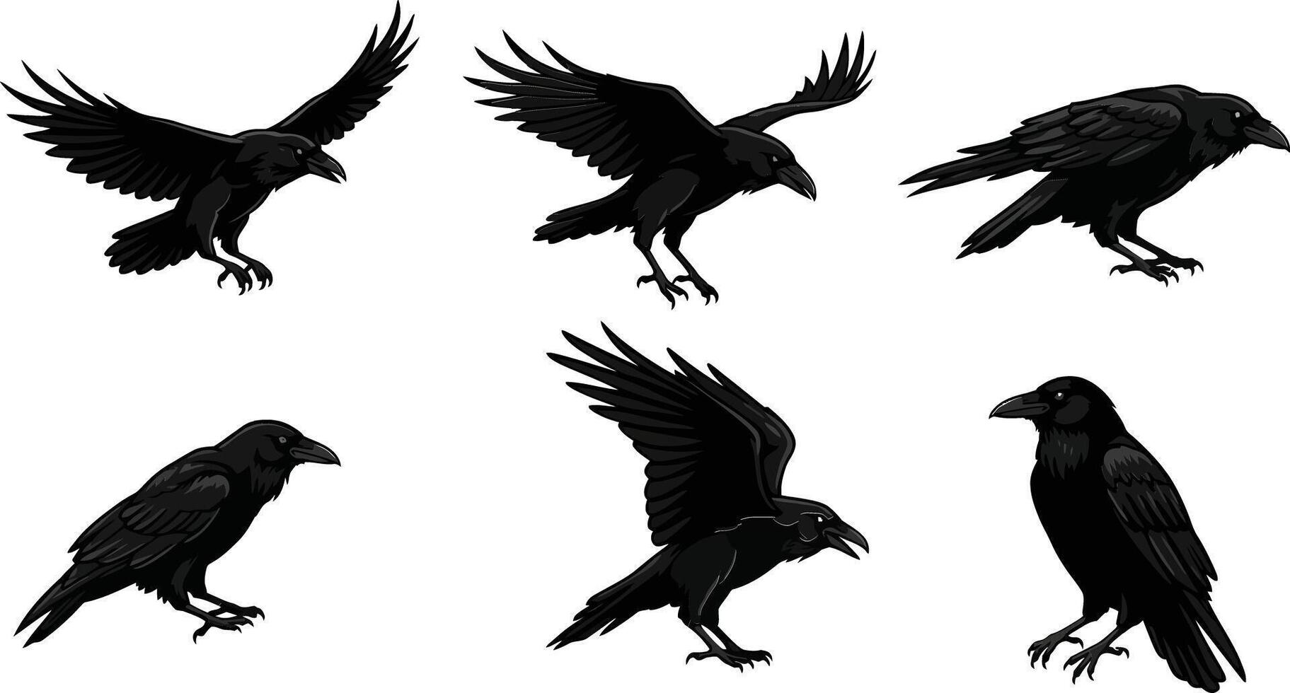 Silhouette crow birds flying perched landing in various poses with black feathers illustration vector