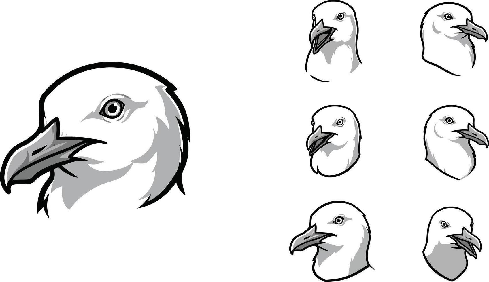 Bald eagle head illustrations showing various angles of white feathers and orange beak in style vector