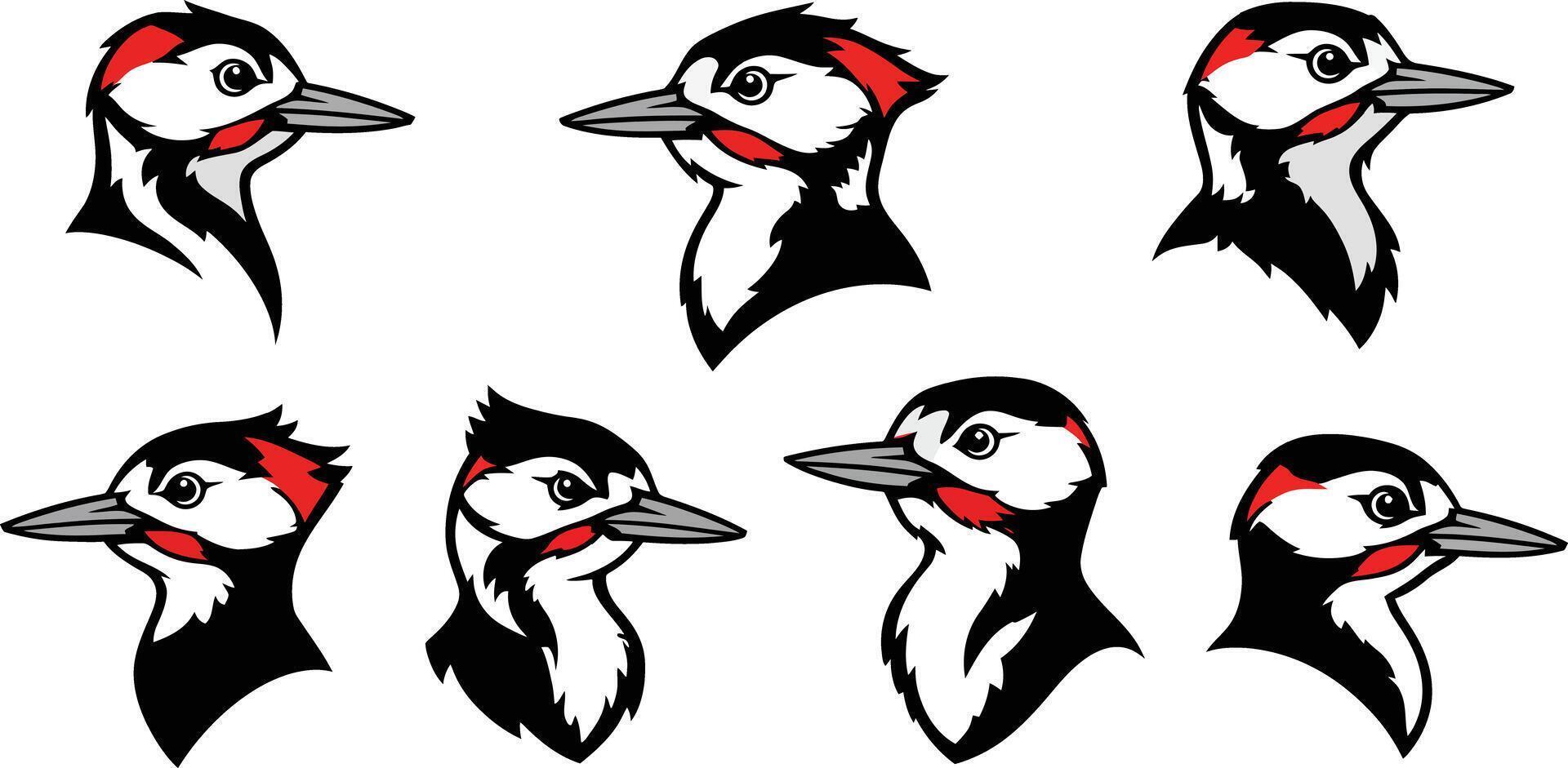 Woodpecker bird head illustrations with red black and white feathers in various poses set vector