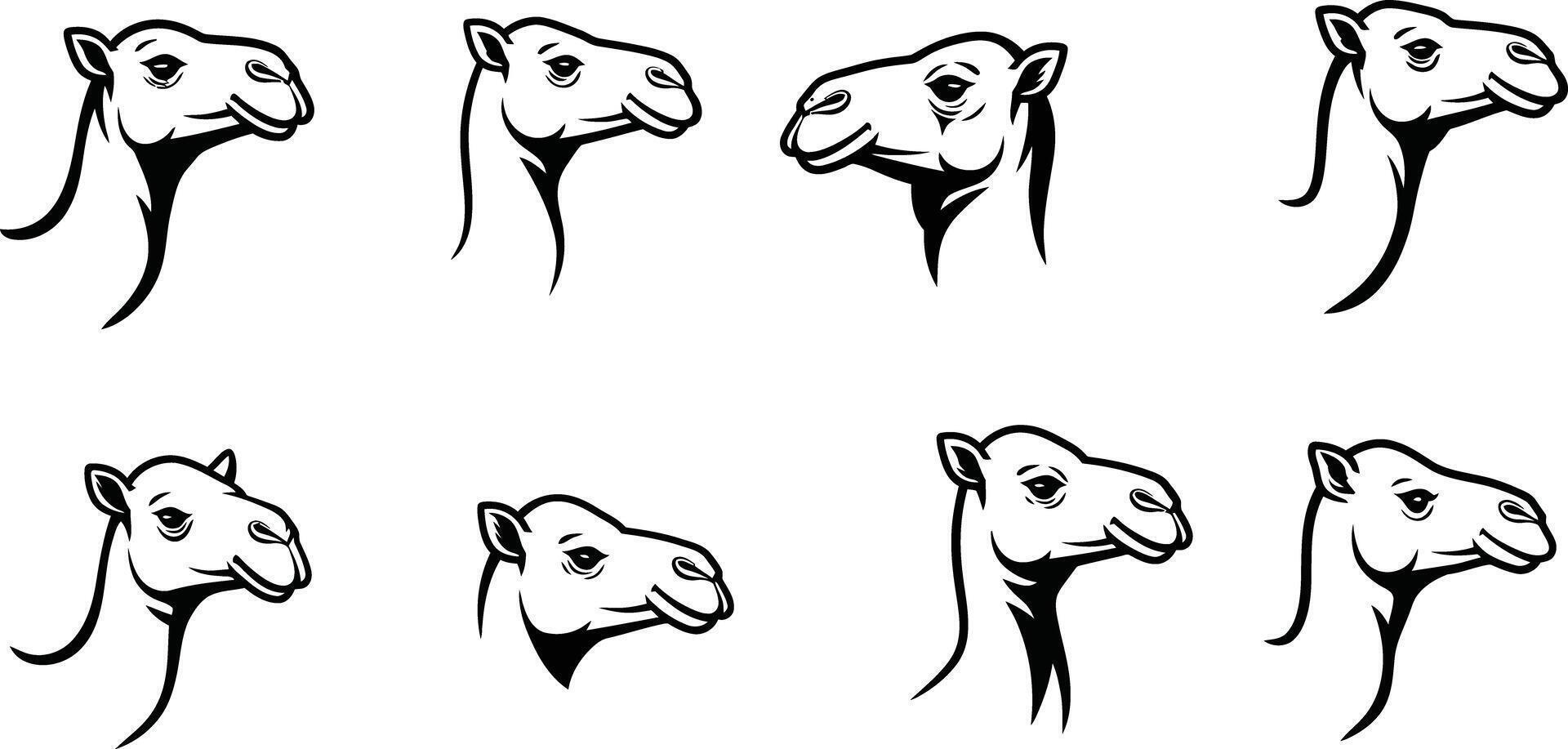 Camel head silhouettes and outlines collection for wildlife or desert themes design vector