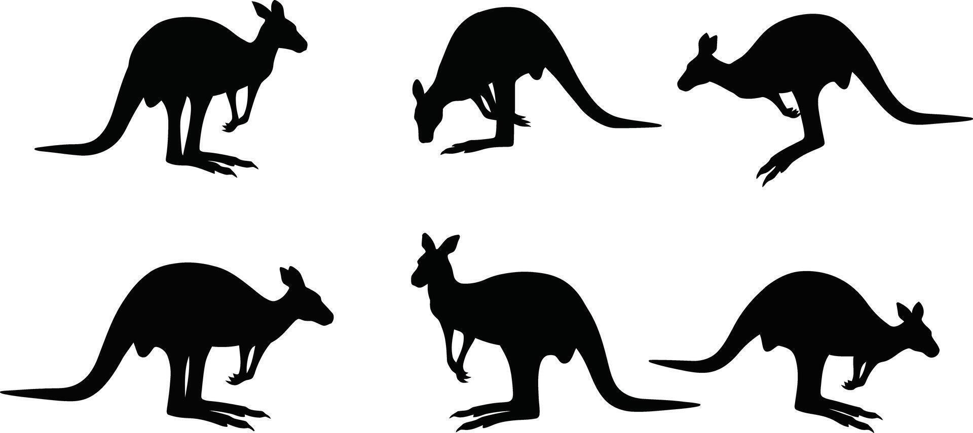 Kangaroo Silhouettes Set Showing Different Poses and Movements in Black Style vector