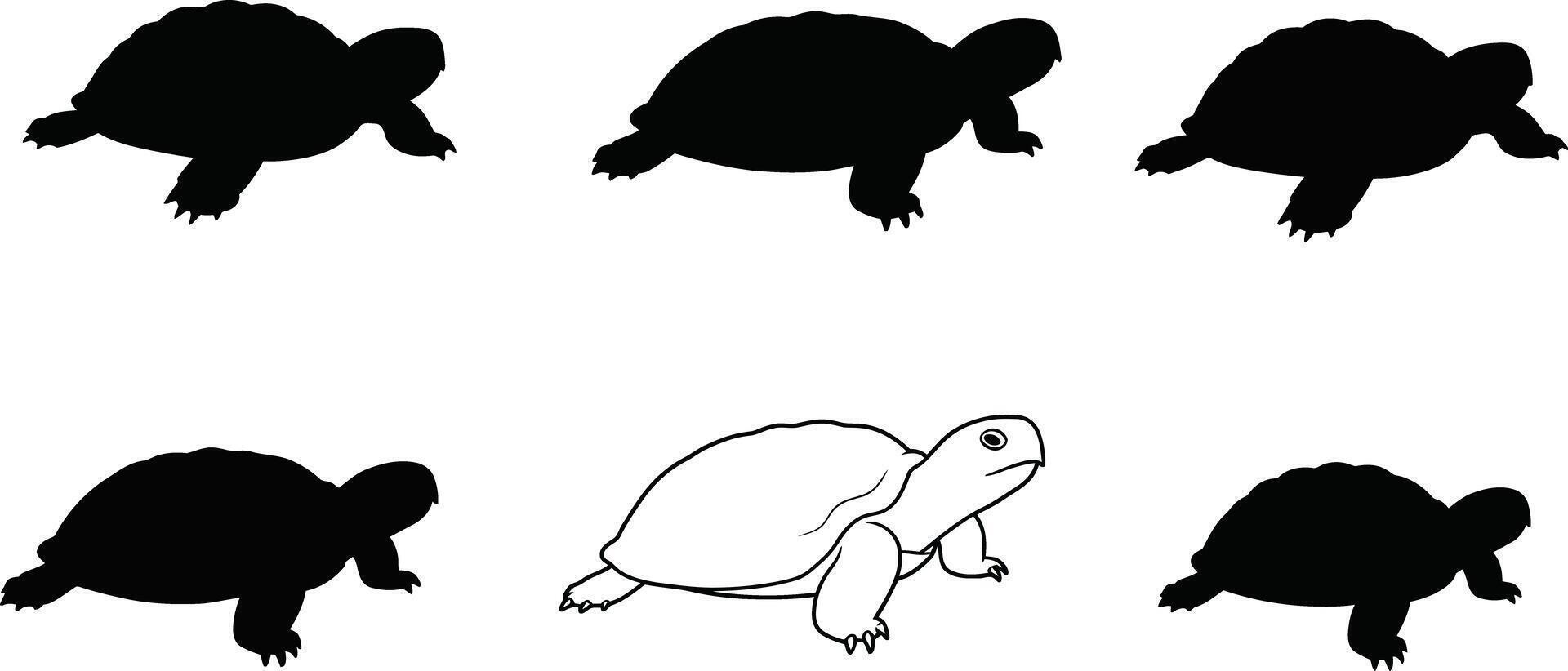 Turtle silhouettes and line art collection of various swimming turtle poses in black and white simple style vector