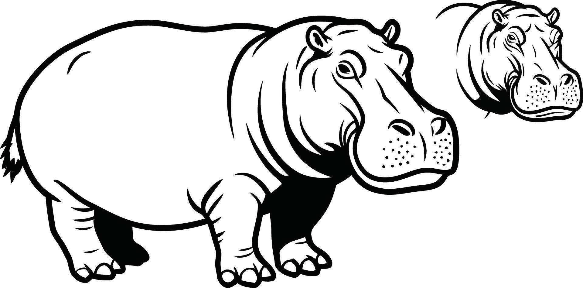 Hippopotamus animal illustration in black and white simple outline drawing style vector
