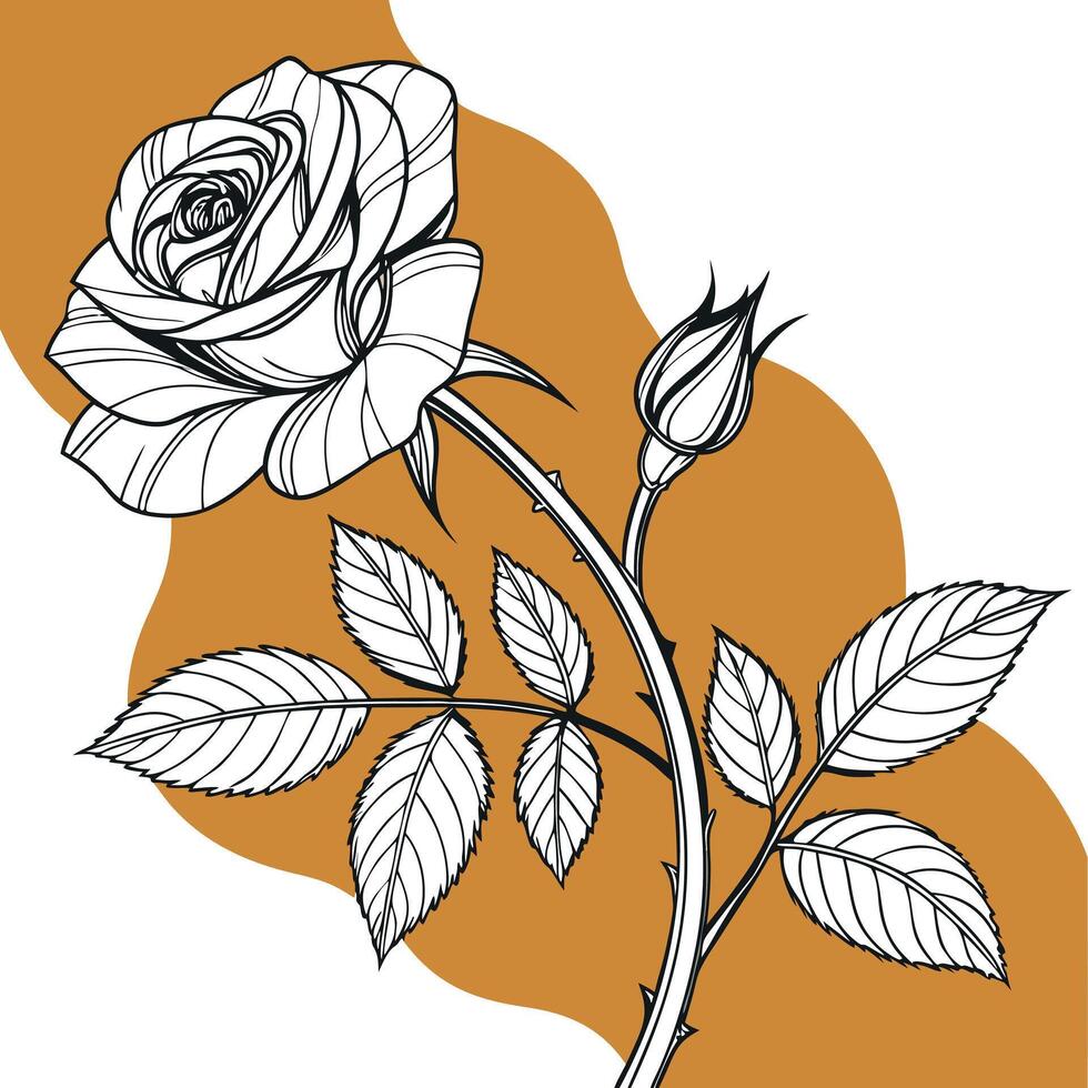 A detailed line art illustration of a rose with leaves and a bud on a branch vector