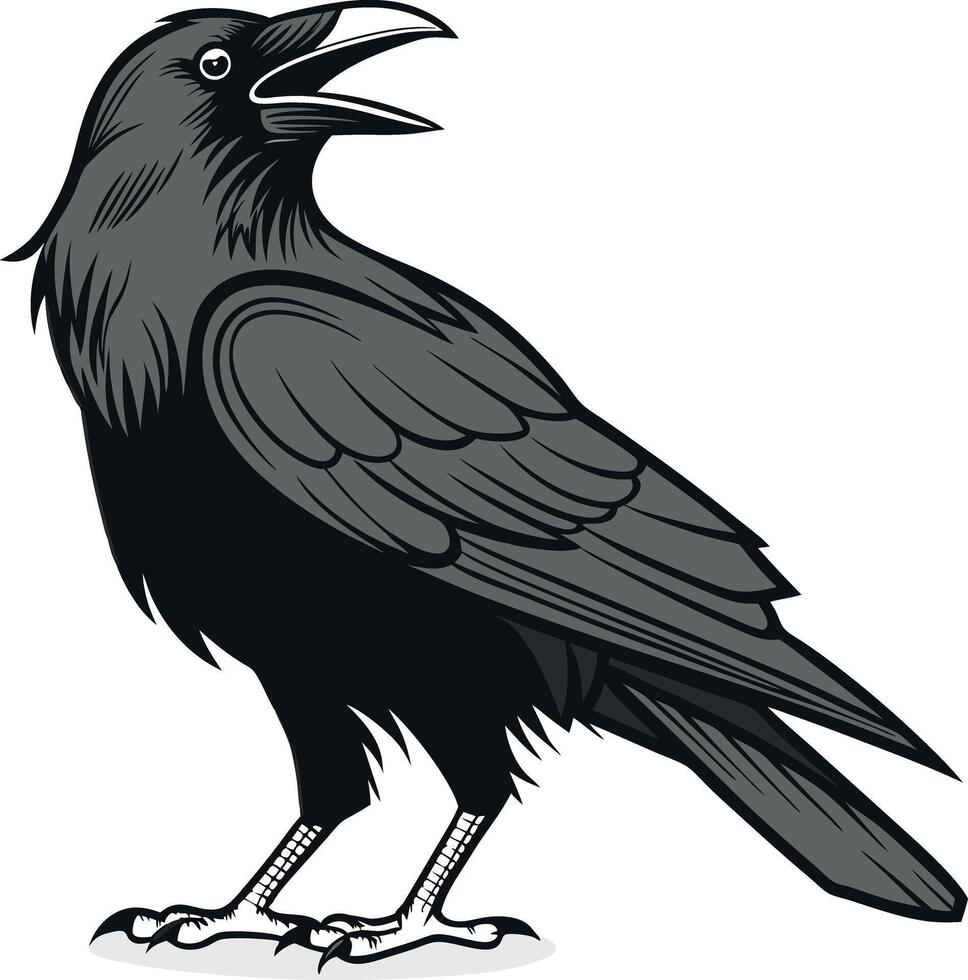 A grayscale illustration of a crow standing with its beak open on a white background vector