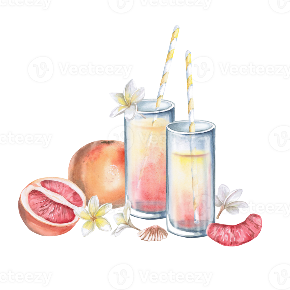 Glasses of juice, grapefruit, half of grapefruit, frangipani flowers, shells. Isolated watercolor illustration for restaurant menu design, interior decoration, weddings, poster printing. png