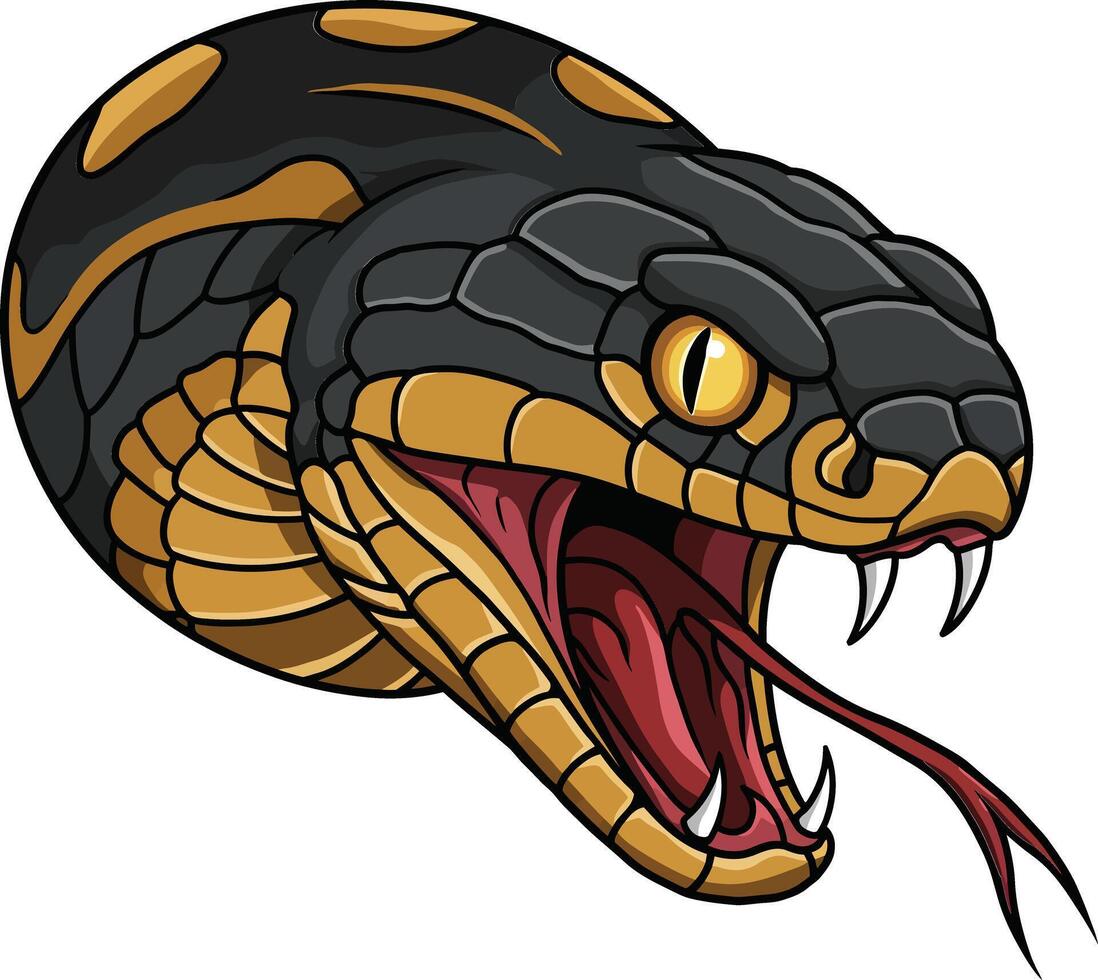 Black and orange snake head with open mouth and forked tongue illustration in close-up view vector