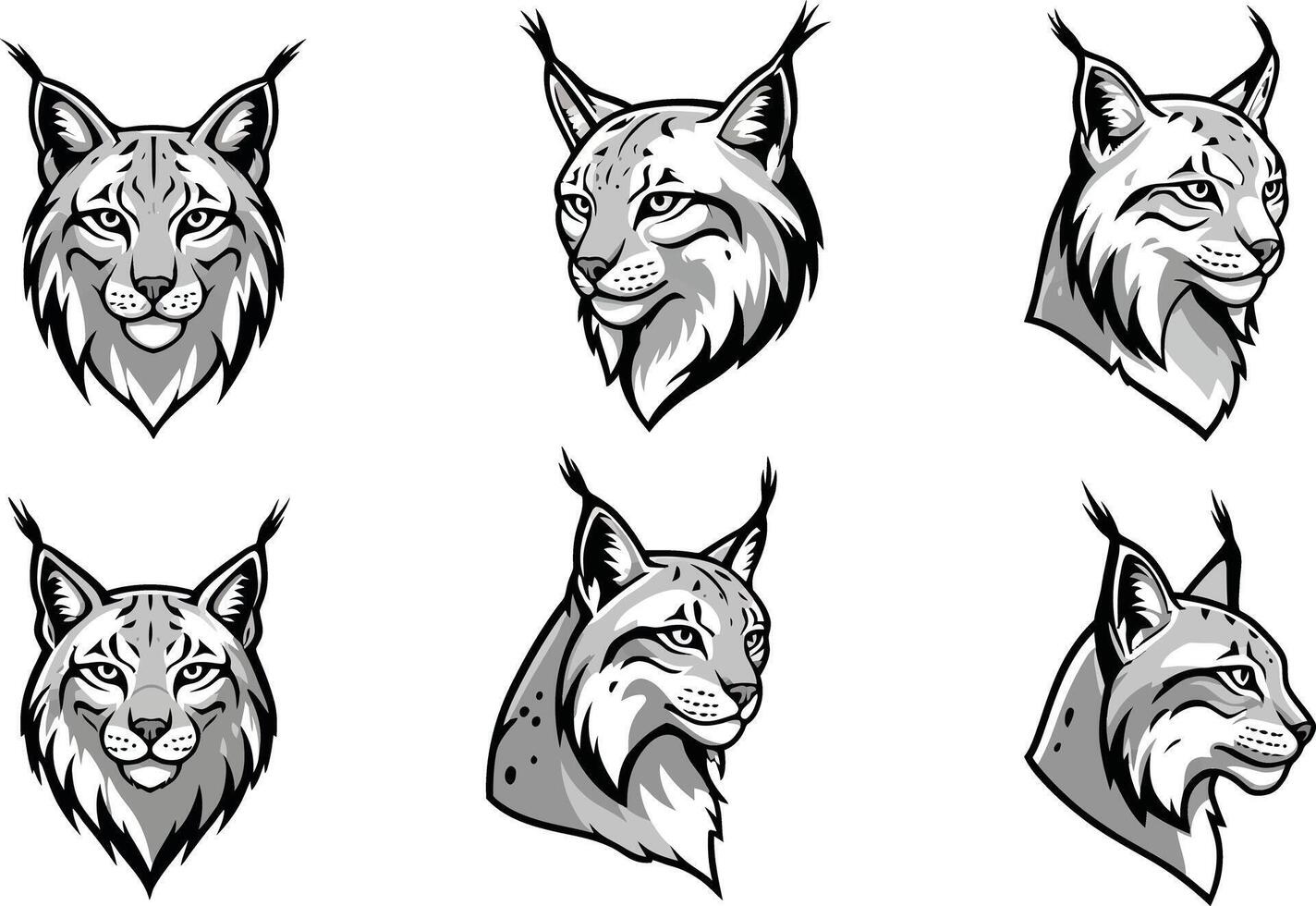 Lynx head illustrations in black and white detailed set showing different angles and expressions vector