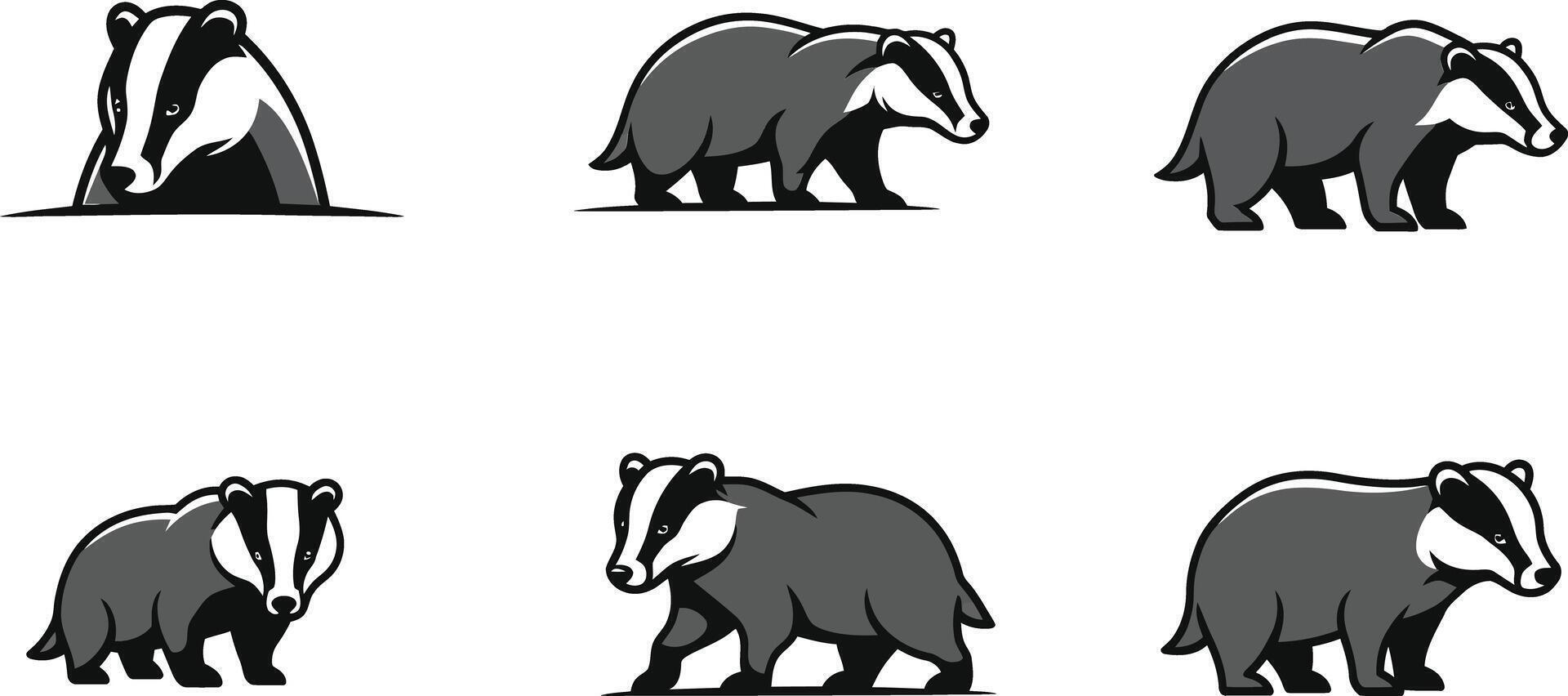 Badger animal illustrations showing different walking poses in black and white style vector